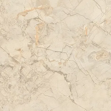 Фото Керамогранит Ivory Endless Mat 60x60 (NTT995150M) Индия