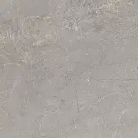 Фото Керамогранит Tempo Ash Mate 60x60