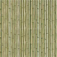 Фото Плитка Bamboo Green 30X15 (PT03452)