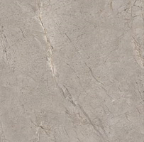 Керамогранит Silver Grey Nat Rt (A2O2) 60X60 Италия Фото Керамогранит Silver Grey Nat Rt (A2O2) 60X60