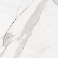 Фото Керамогранит ZERDE TILE Nature Base White 60х60