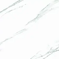 Керамогранит Luna White Satin Matt 60x60 Фото Керамогранит Luna White Satin Matt 60x60