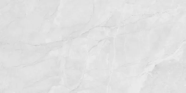 Фото Керамогранит Laparet LP6012G0231R Berna Silver светло-серый матовый 59,5х119,1 Россия