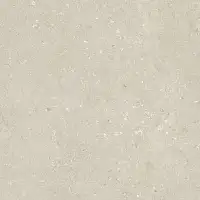 Фото Керамогранит Dado Ceramica 005848 Shellstone Beige 120x120