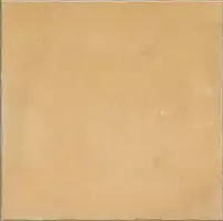 Фото Керамогранит Nostalgy Honey 20X20 (PT03418)