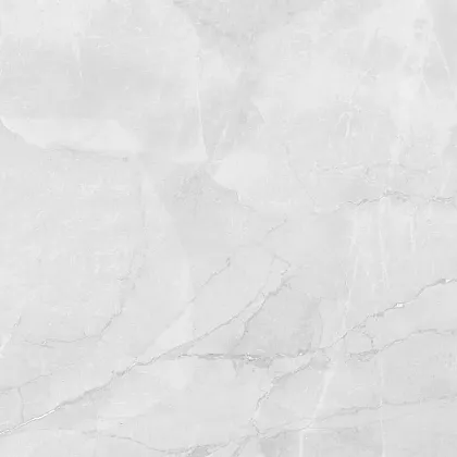 Фото Керамогранит Laparet LP6060G0241R Berna Silver светло-серый матовый 59,5х59,5 Россия