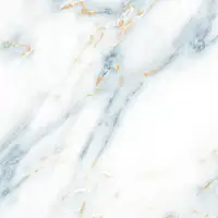 Фото Керамогранит Eternal ETACN1221GL6060 White Storm Glossy 60x60
