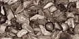 Керамогранит Ennface ENACN1013HG60120 Volcanic Agate High Glossy 600х1200х9