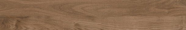 Фото Керамогранит Artwood Oak AW02 неполированный 19.4x120 Россия