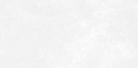 Плитка Antre White 249x500x8.5 (WT9ANR00) Россия Фото Плитка Antre White 249x500x8.5 (WT9ANR00)