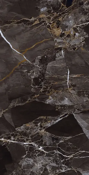 Фото Керамогранит Protiles PT12S7067 Nero Pol 1200х600х9 Узбекистан