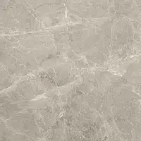 Фото Керамогранит Dacota grey серый Лаппатированный 80x80