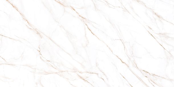 Керамогранит Neo Calacatta матовый 600x1200x8,5 (GFU60120NCL04R) для гостиной, для кухни, для ванной, для туалета, для спальни, для прихожей, на теплый пол Фото Керамогранит Neo Calacatta матовый 600x1200x8,5 (GFU60120NCL04R) Россия