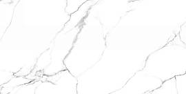 Фото Керамогранит Splendida Mckinley Polished 60x120 (CV20222)