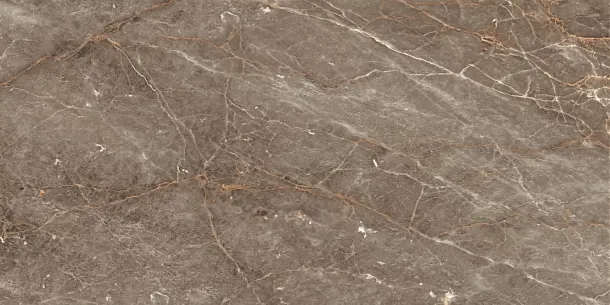 Фото Керамогранит Istanbul Sepia Glossy 60x120 Индия