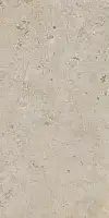 Фото Керамогранит DD506520R Бежевый тёмный натуральный обрезной 60х119,5