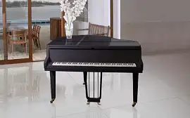 Коллекция Blanco-Negro HDS