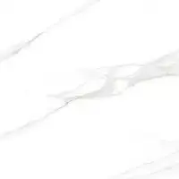 Фото Керамогранит Calacatta Regal Grey Белый Полированный 60x60 (х9999302399)