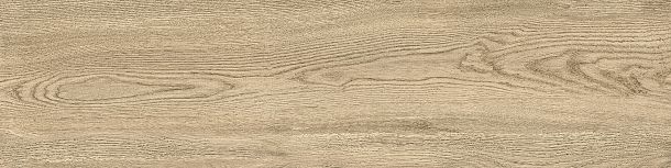 Фото Керамогранит Tanzania Beige матовый 151x602 (GP1560TAN11) Россия