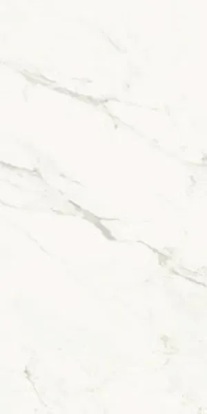 Фото Керамогранит La Faenza AE CAP6 12 LPM 60x120 Италия