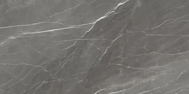 Фото Керамогранит Ennface ENSTN4007HG60120 Grigio Fresco High Glossy 600х1200х9 Индия