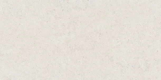 Фото Керамогранит Tau Ceramica Calcare White 60x120 Испания