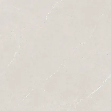Фото Керамогранит Protiles PT60F7046 Alicante Light Matt 600x600x9 Узбекистан