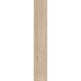 Керамогранит Sweden Honey 20x120