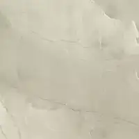 Керамогранит PASSION LUX 60 CHAMPAGNE 60*60 Фото Керамогранит PASSION LUX 60 CHAMPAGNE 60*60