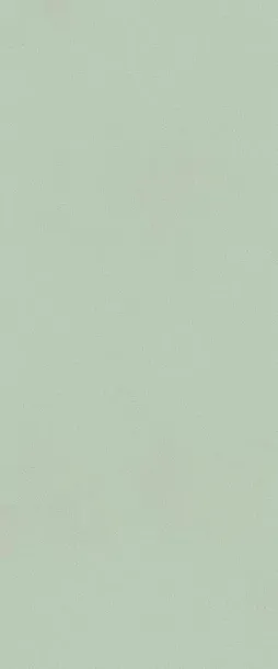 Фото Керамическая плитка FAP Ceramiche fTDV True Color Matcha Matt RT 50x120 Италия
