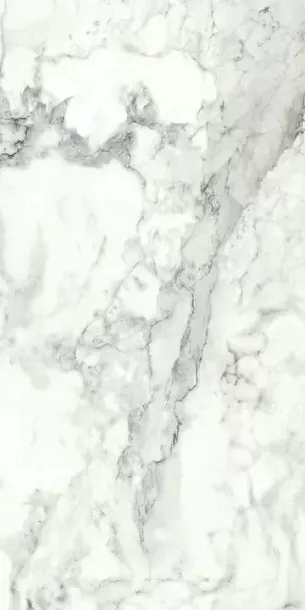 Фото Керамогранит Imola Ceramica BRECAP6 12 RM 60x120 Италия
