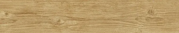 Фото Керамогранит Dune 189005 Quercus Miele 22x120 Испания