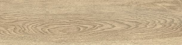 Фото Керамогранит Tanzania Beige матовый 151x602 (GP1560TAN11) Россия