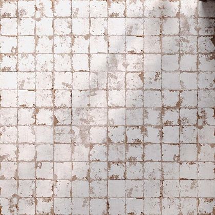 Фото Керамогранит el molino memory blanco brillo 58x58 Испания