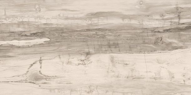 Фото керамогранит wood stained oak WGF.EW.GR.NT италия
