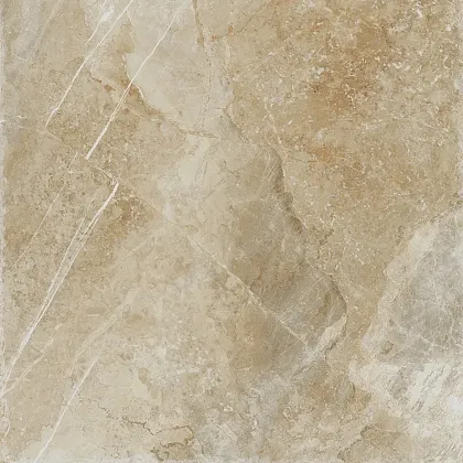 Фото Керамогранит ProGRES Ceramica GNR0069-G Магма Коричневый светлый граниль 600x600x9.5 Россия