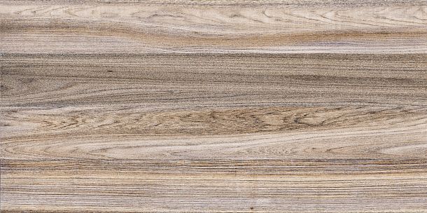 Фото Плитка Dublin 249x500 (TWU09DBL404) Россия