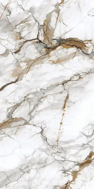 Фото Керамогранит Protiles PT12P7081 Royal Marble Полированная 1200х600х9 Узбекистан
