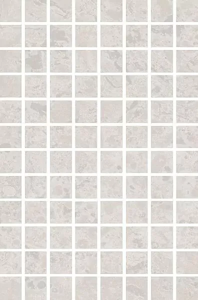 Фото Мозаика MM8351 Ферони мозаичный серый светлый матовый 20x30 Россия