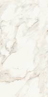 Фото Керамогранит Calacatta Polished 60x120 (MPL-058623)