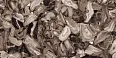 Керамогранит Ennface ENACN1013HG60120 Volcanic Agate High Glossy 600х1200х9