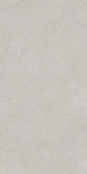 Фото Керамогранит Protiles PT12F7048 Pietra Light Grey Matt 1200х600х9 Узбекистан