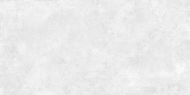 Фото Керамогранит Zett Bianco 60x120 (NTT99600M) Индия