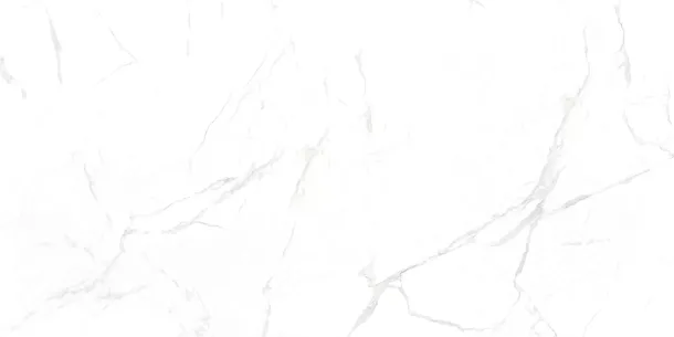 Фото Керамогранит Callacata carving 60x120 (NTT99607M) Индия