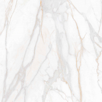 Фото Керамогранит SM02 Gold неполированный 80x80x10