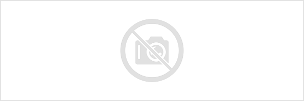 Фото Мозаика FSS.BL.BL.NT Китай