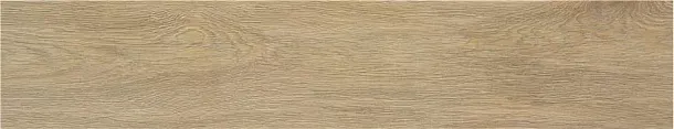 Фото Керамогранит STN Ceramica Tacora Camel Mt 23x120 Испания