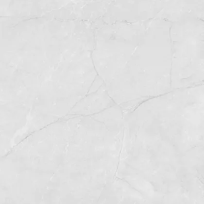 Фото Керамогранит Laparet LP6060G0241R Berna Silver светло-серый матовый 59,5х59,5 Россия