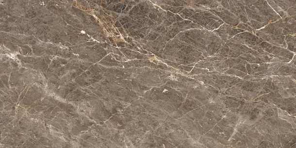 Фото Керамогранит Istanbul Sepia Glossy 60x120 Индия