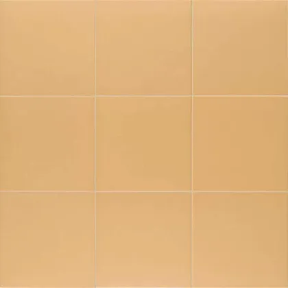 Фото Керамогранит Mainzu Technical Tangerine 20х20 Испания